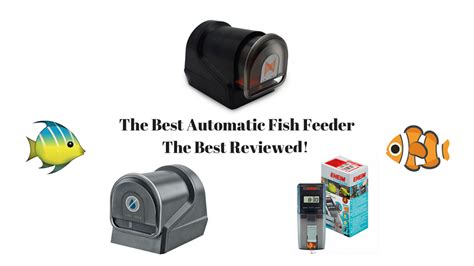 automatic fish feeder|The 7 Best Automatic Fish Feeders For 2024 [Tested And .